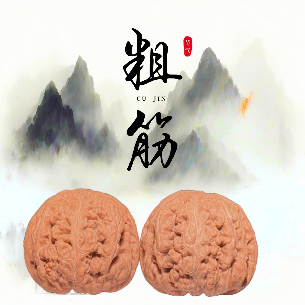 粗筋麻核桃（深清x）