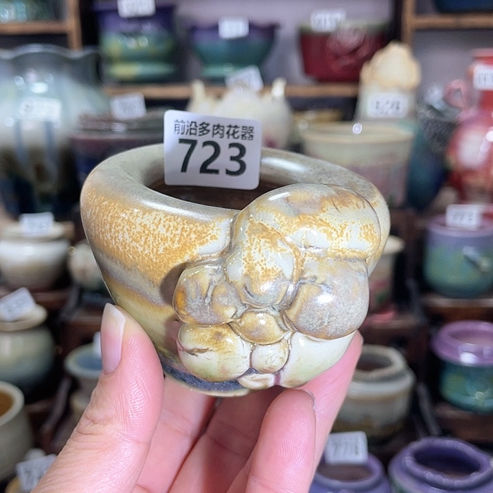 红陶内口径5高度6