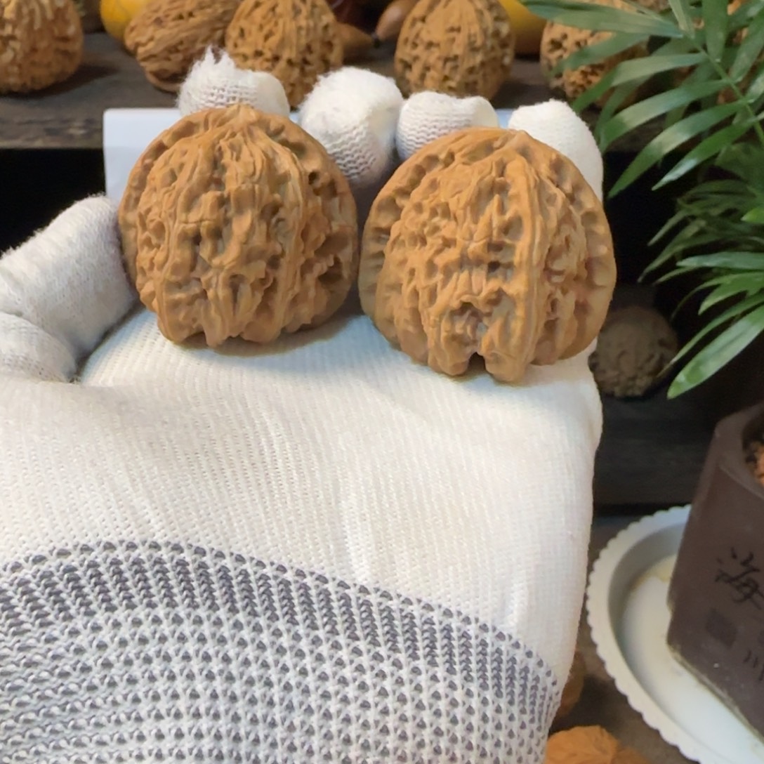 骑***山文玩核桃把件白狮子尖虚黄