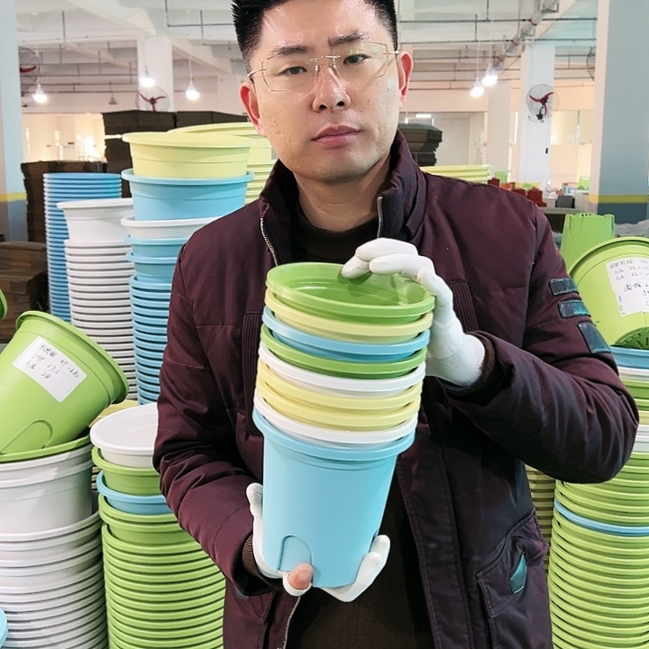 正品圆控口15高15果绿10只带托