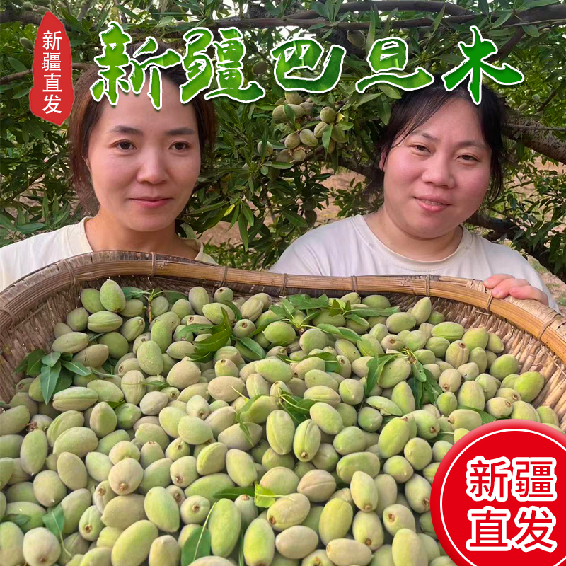 新疆新鲜现摘绿皮巴旦木当季水果原味带青壳即食扁桃仁巴达木
