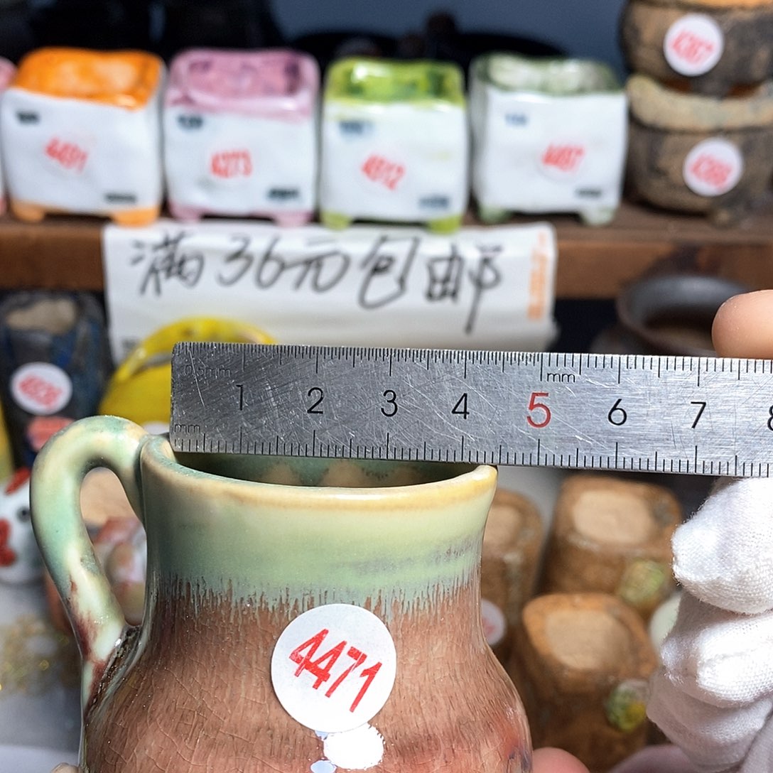 红陶拍5送一个小