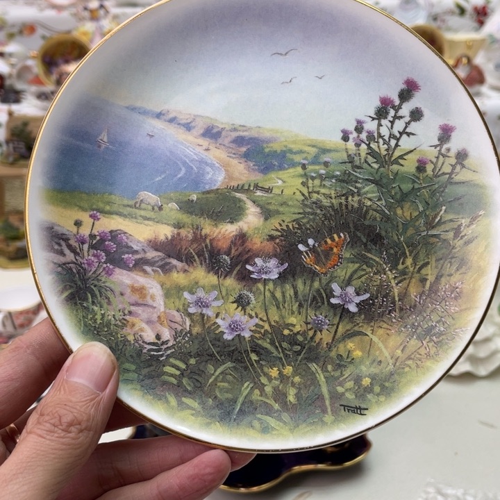 盘维多利亚欧洲中古