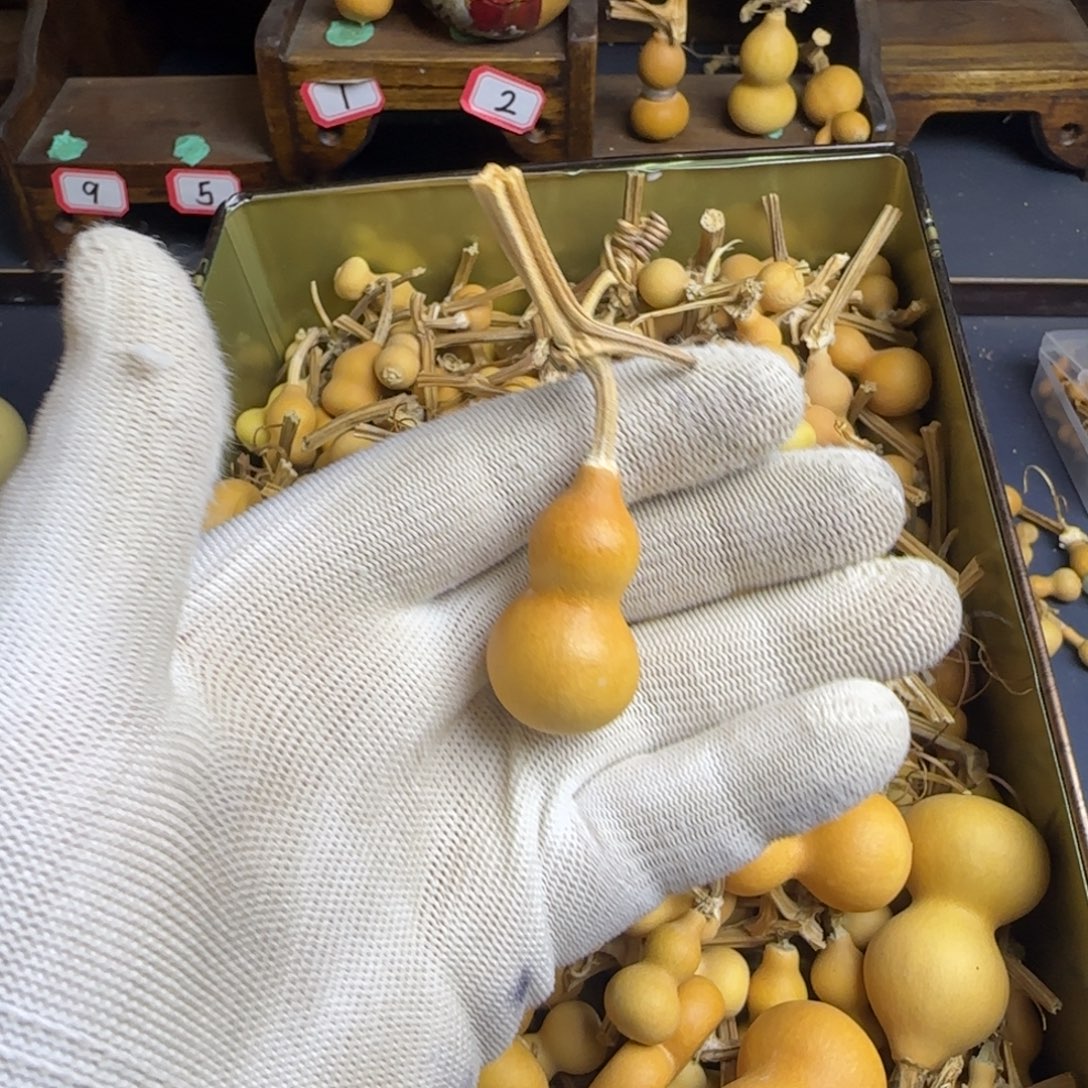 七***吖我也是很喜欢这个节目的呢