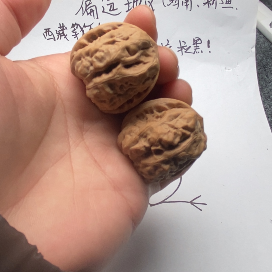 贰***万好的我真的好喜欢这个节目的