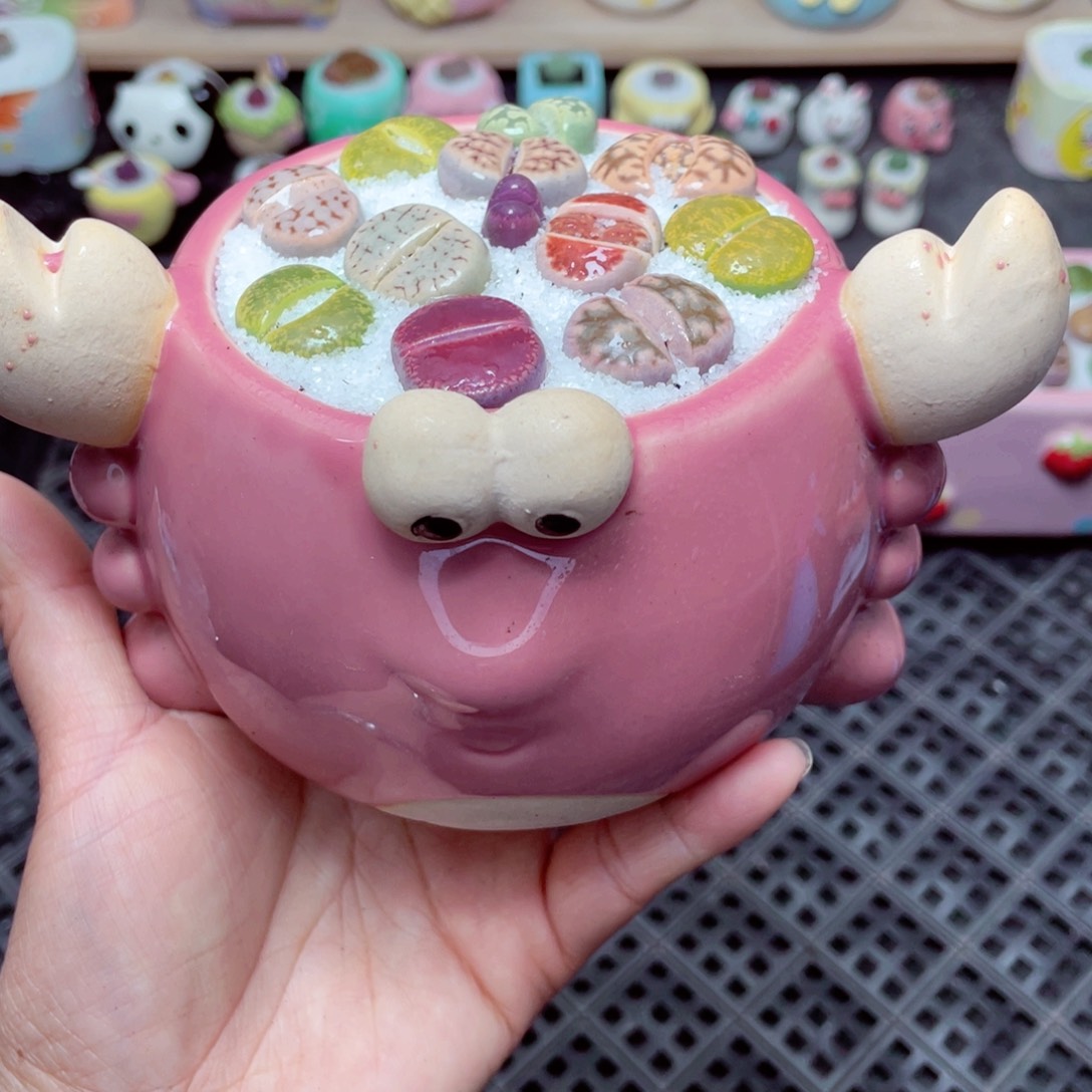 w2001 带盆土发货-零下地区拍保温箱