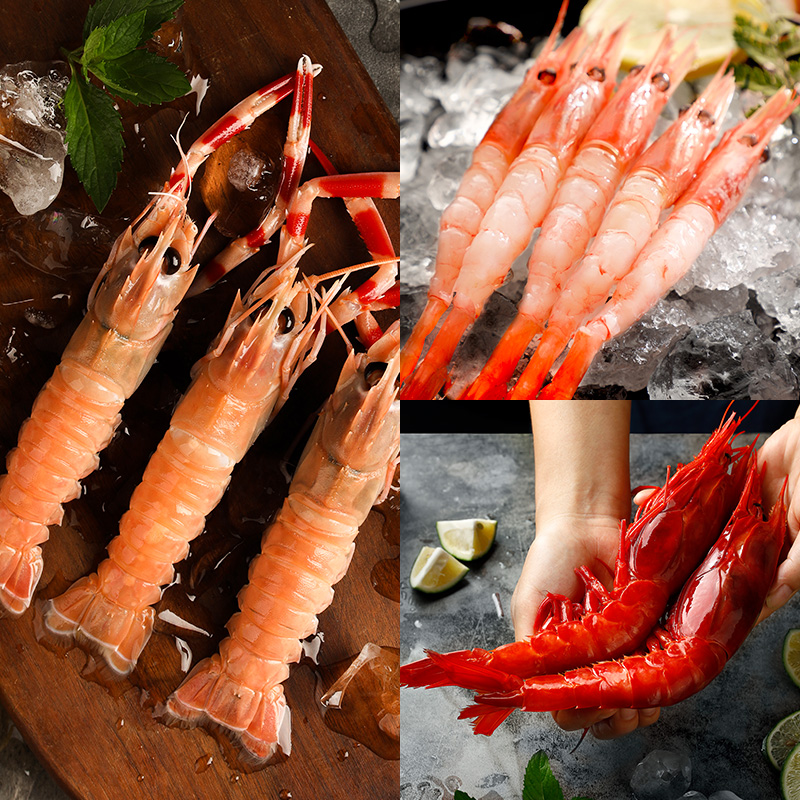 【鳌虾浮力】国产刺身海鳌虾100g/盒北极甜虾8只/盒红魔虾单只装