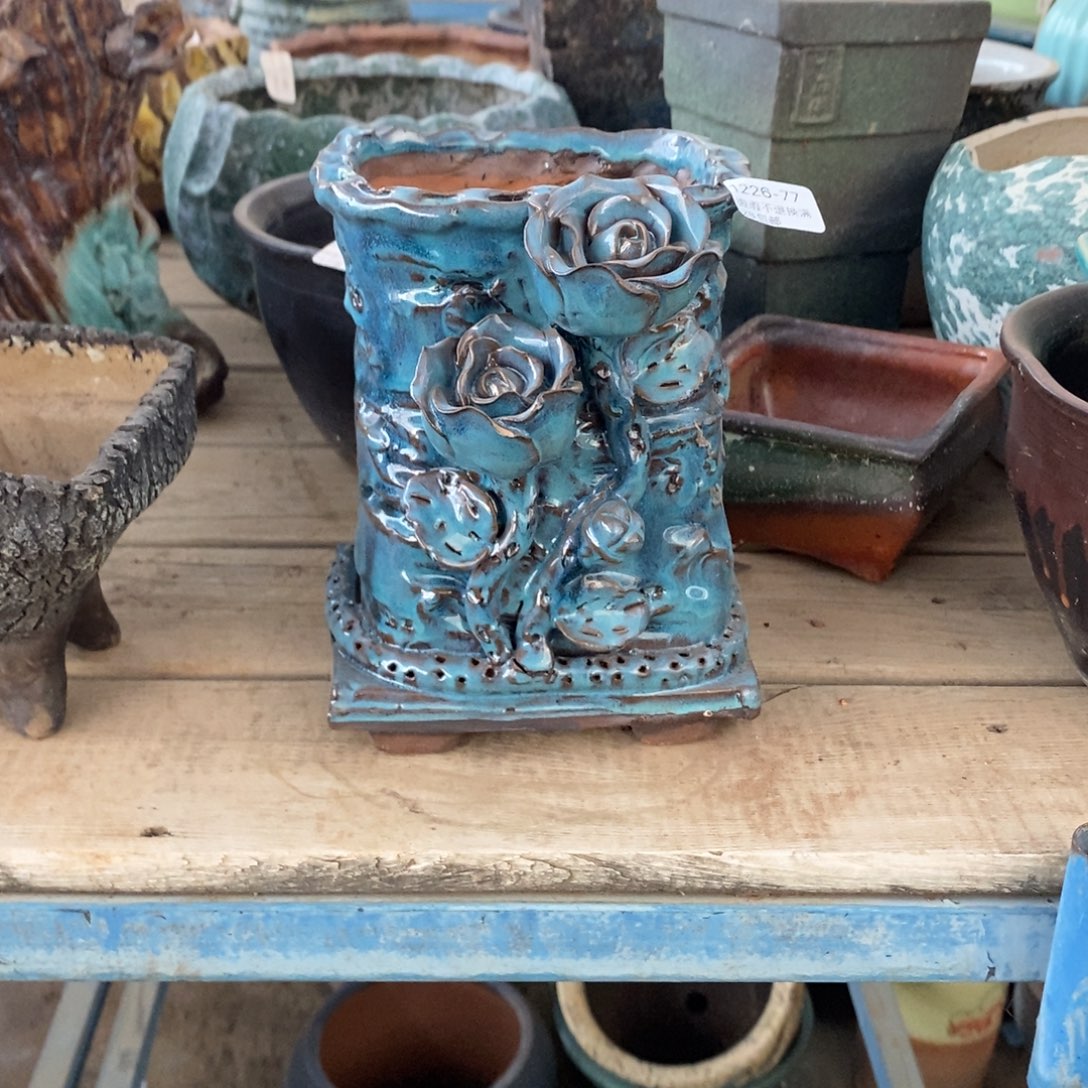 向****77号多肉盆口径11