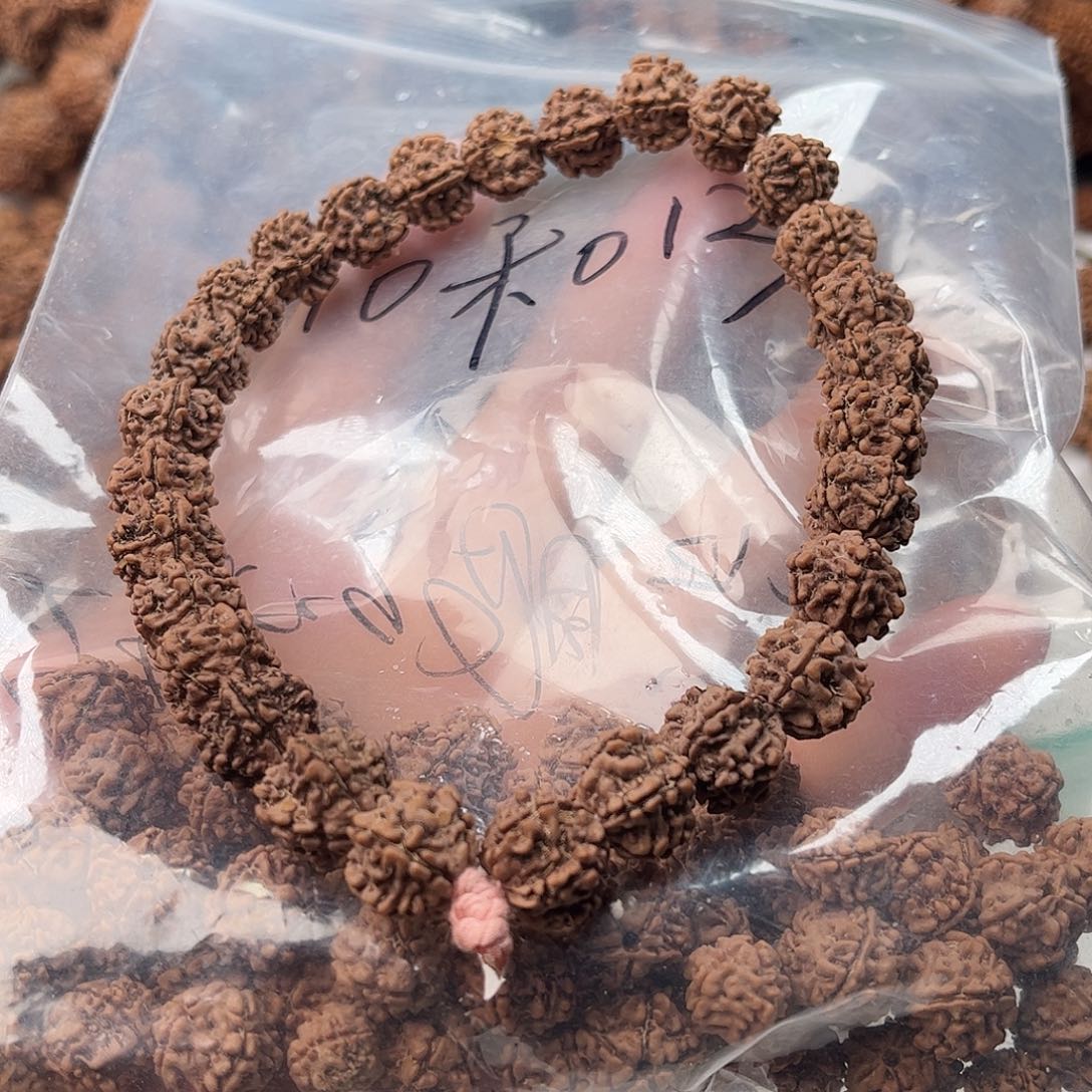 手串金刚菩提13龙牙梅花