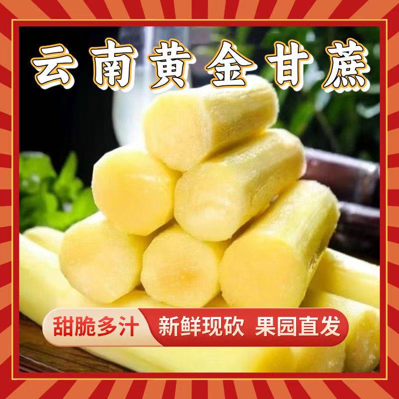 【场地直发】甘蔗新鲜现砍现发脆甜多汁可榨汁当季水果