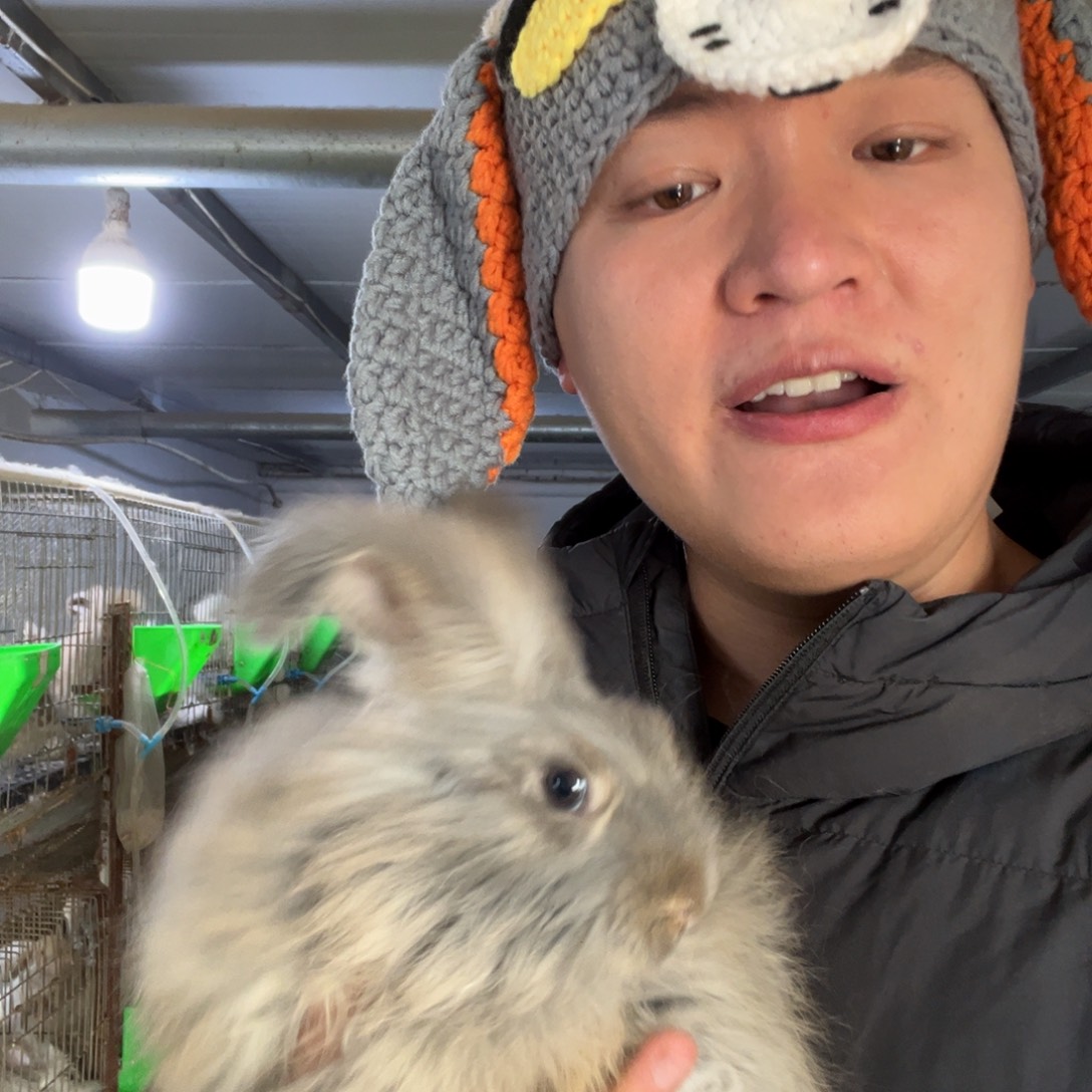 J***j宠物兔英系安哥拉兔