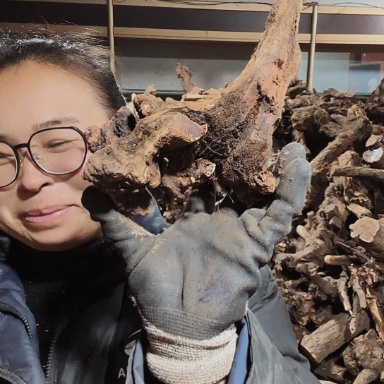 香榧木捌*火琉璃的毛料摆件