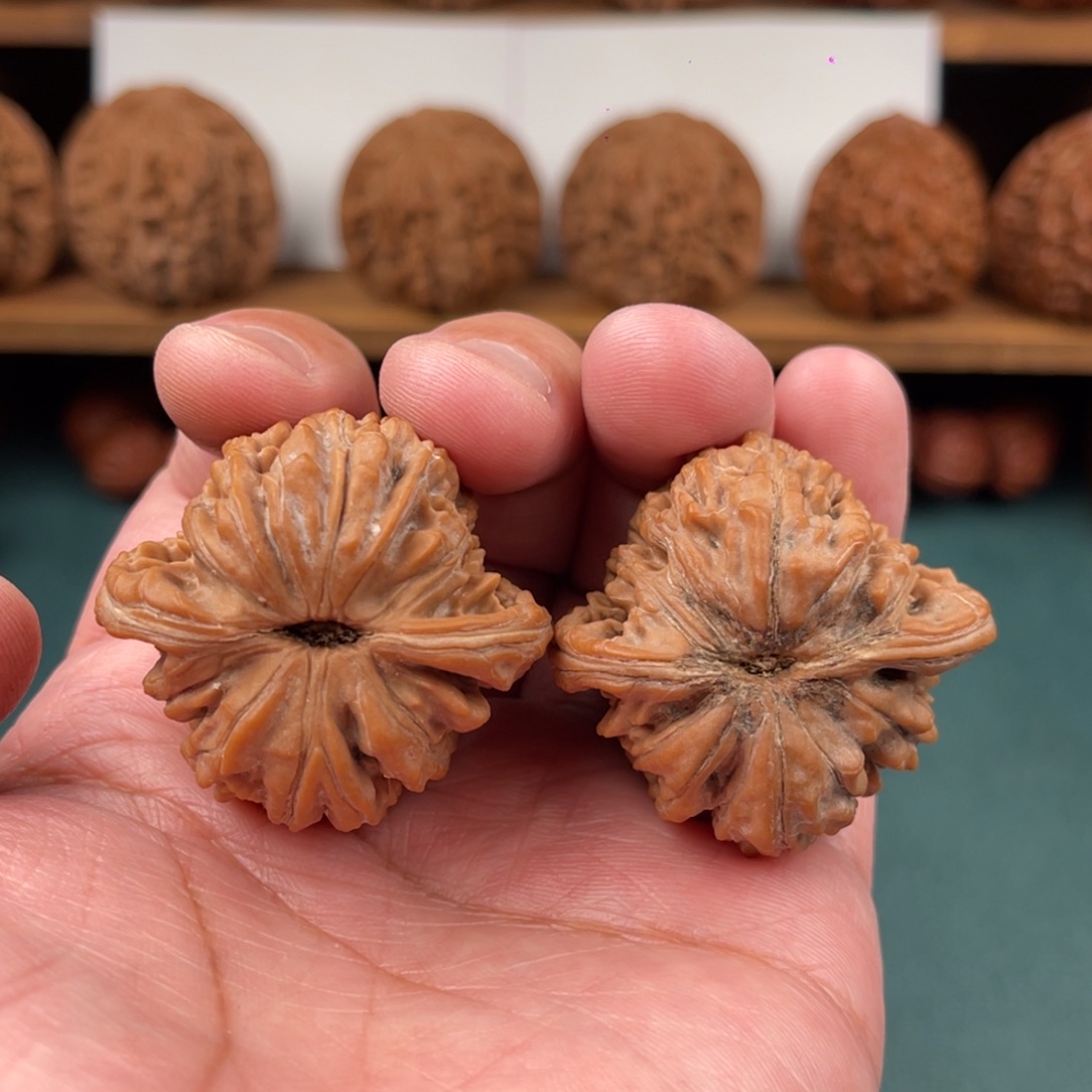 把件文玩核桃文玩核桃平谷一代四座楼39.5