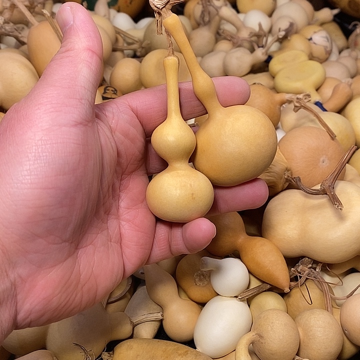 爱***谁精品葫芦手把葫芦92