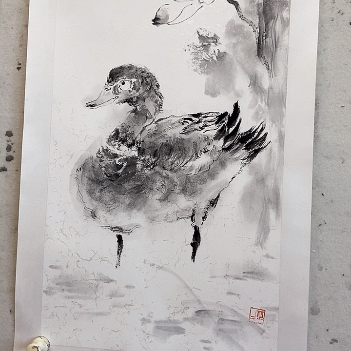 国画国画作品荷花鸭子