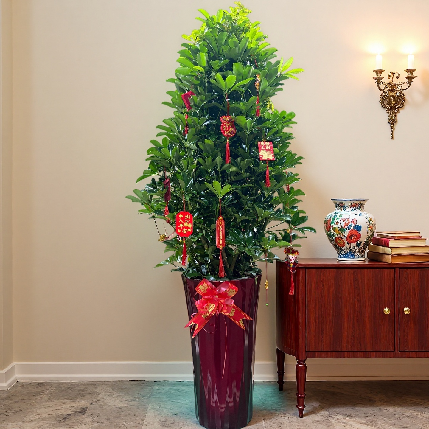 【送货上门】1.1-1.3米老桩鸭脚木室内盆栽八方来财大型绿植物花卉