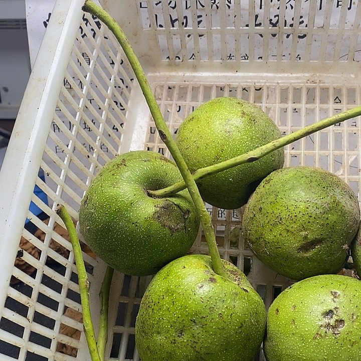 吊坠文玩核桃四座楼大果