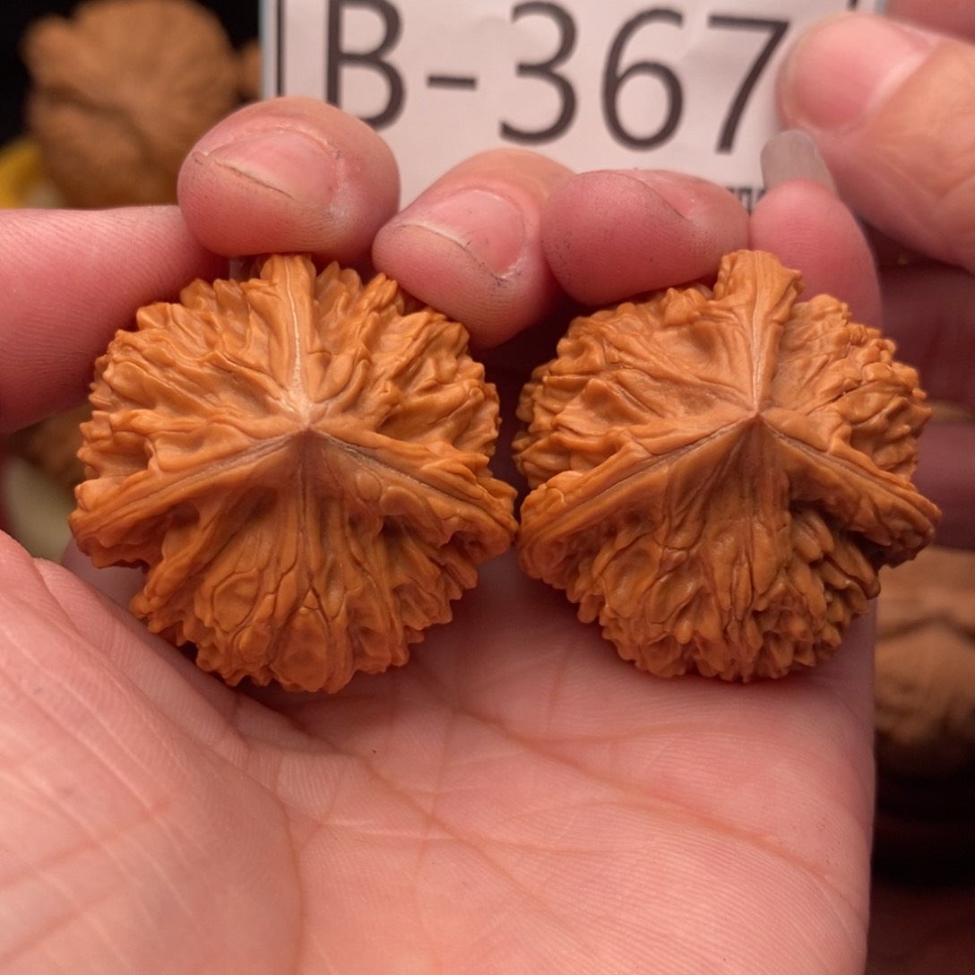 文玩核桃把件正奔34