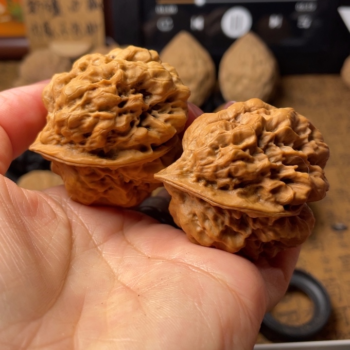 心***向如图所示一物一拍28