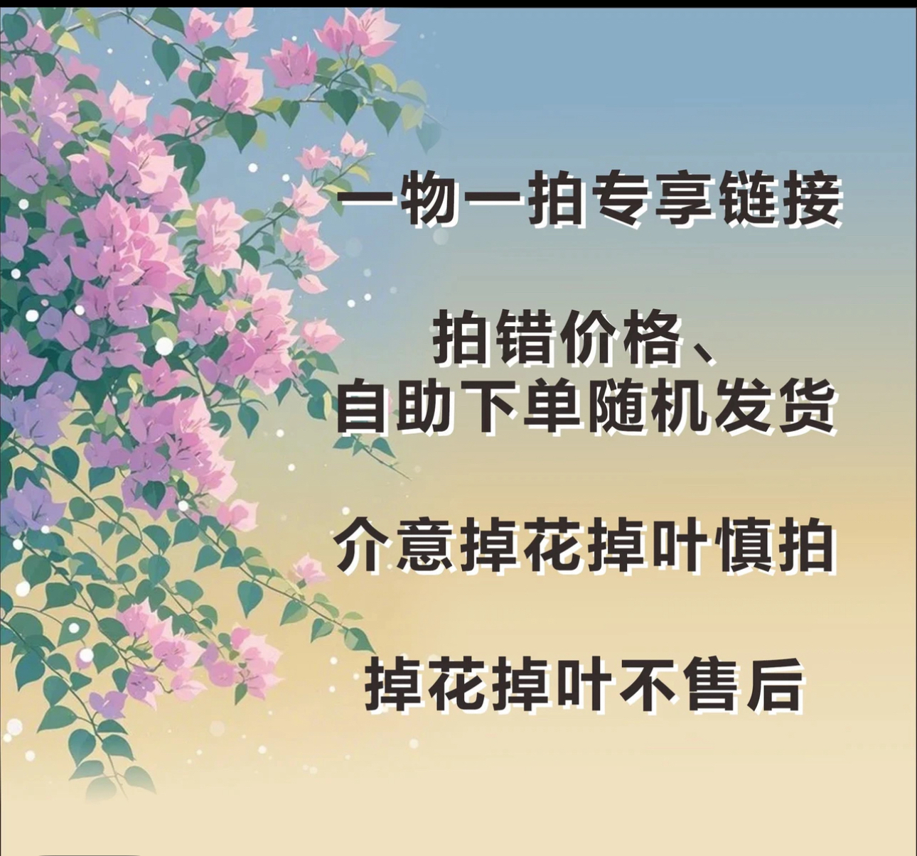 三角梅老苗勤花爆花耐高温爬藤庭院阳台绿植室外盆景盆栽