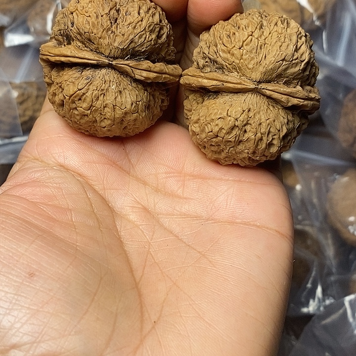 文玩核桃把件云南铁核桃13