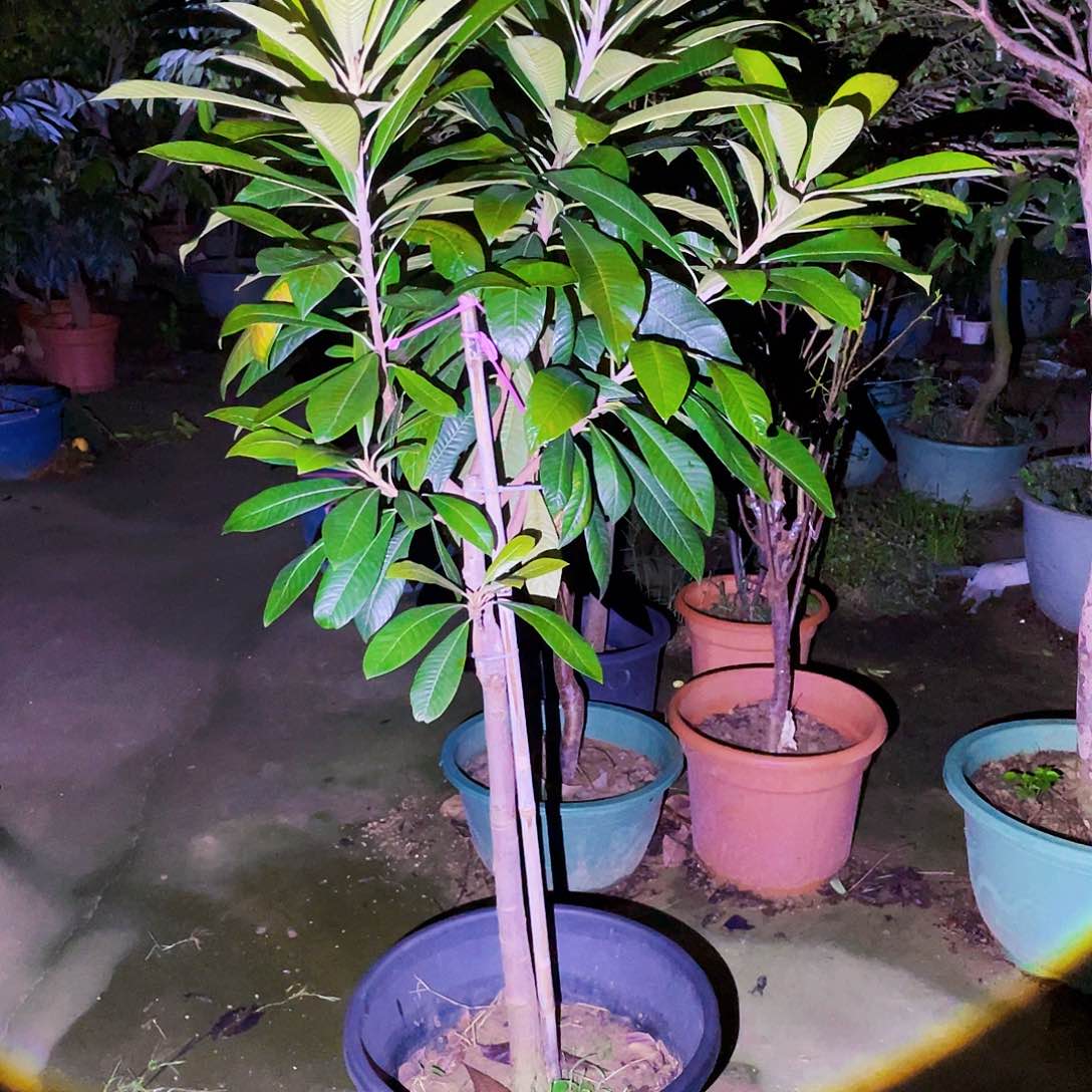 用****6222222222222222