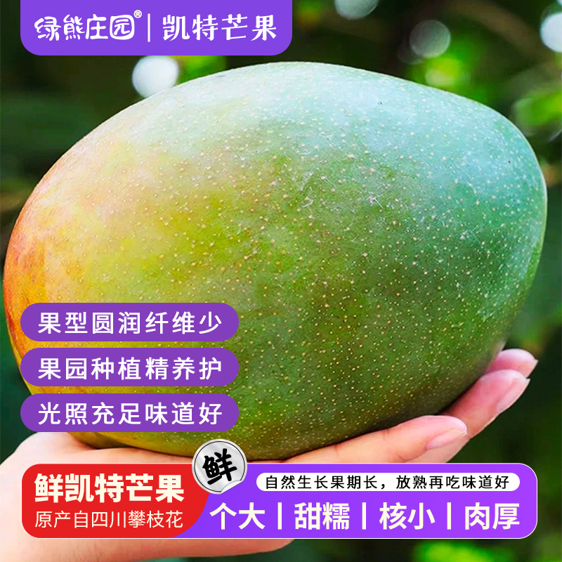 攀枝花青皮凯特大芒果肉厚核薄香甜多汁新鲜现摘水果