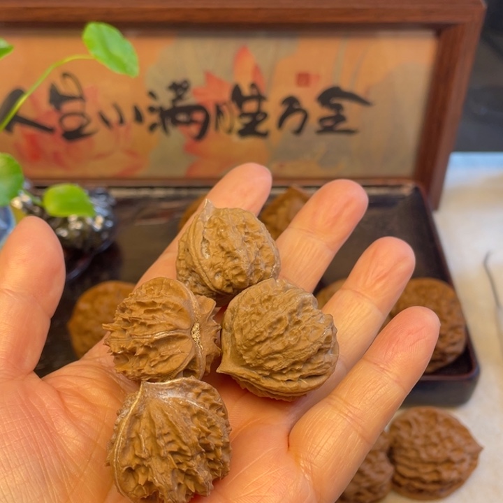 贝***塔核桃秦岭山脉文玩