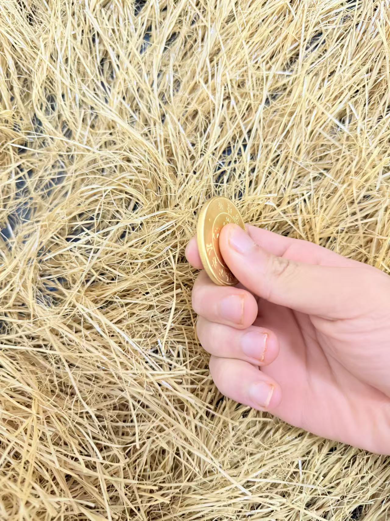 精品特色摆件HP148