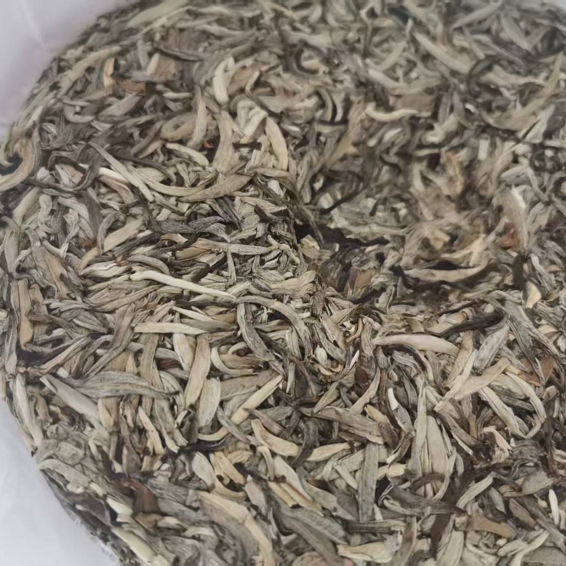 2025年春老树云白毫紧压茶