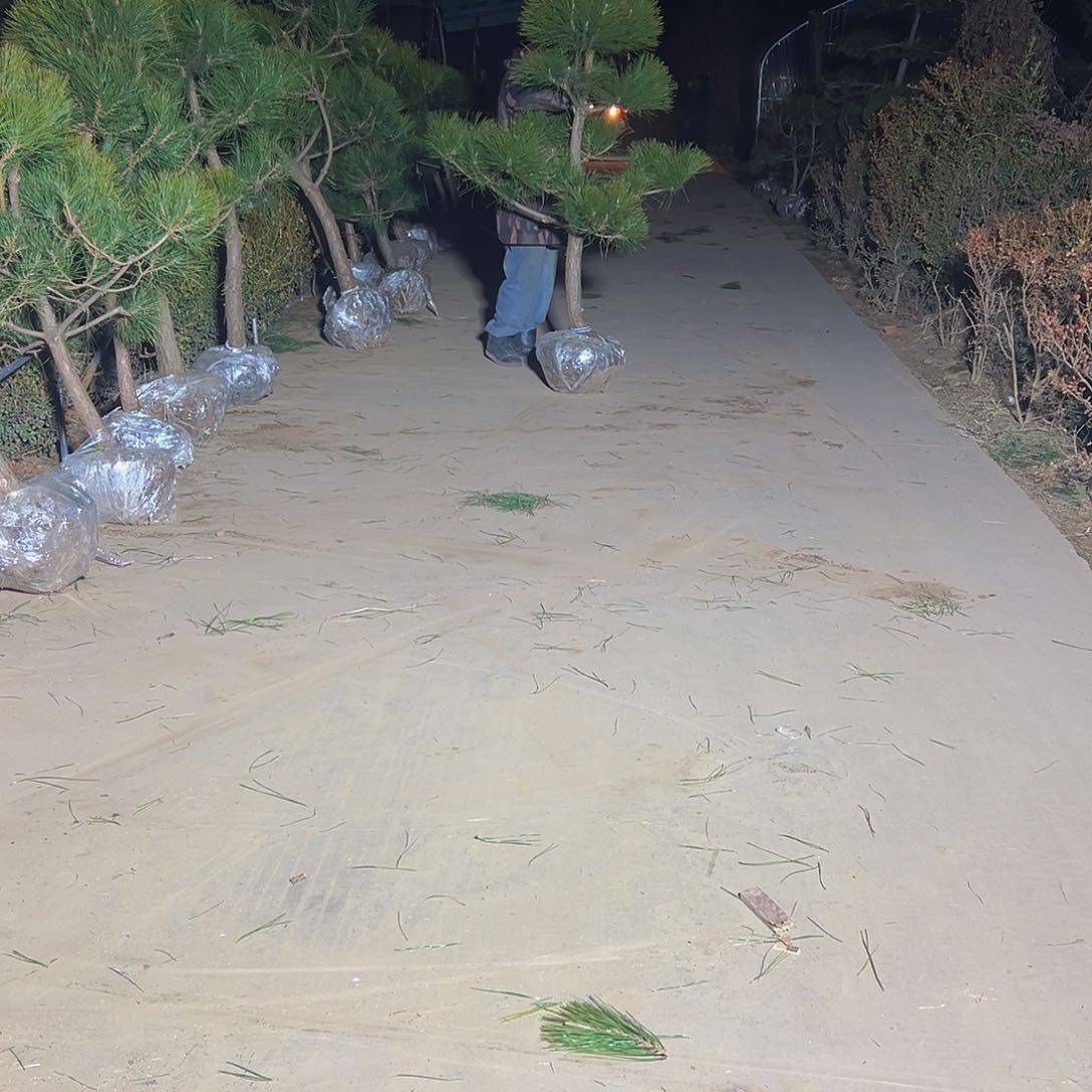 鑫**饰88888888888888