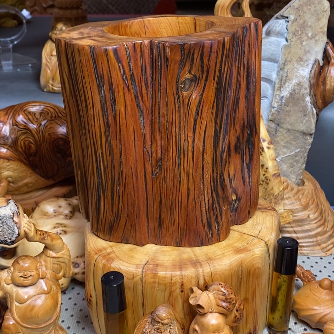 柏木（崖柏）太行山上