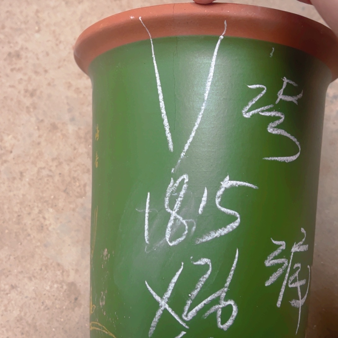 紫砂2号……………………………………