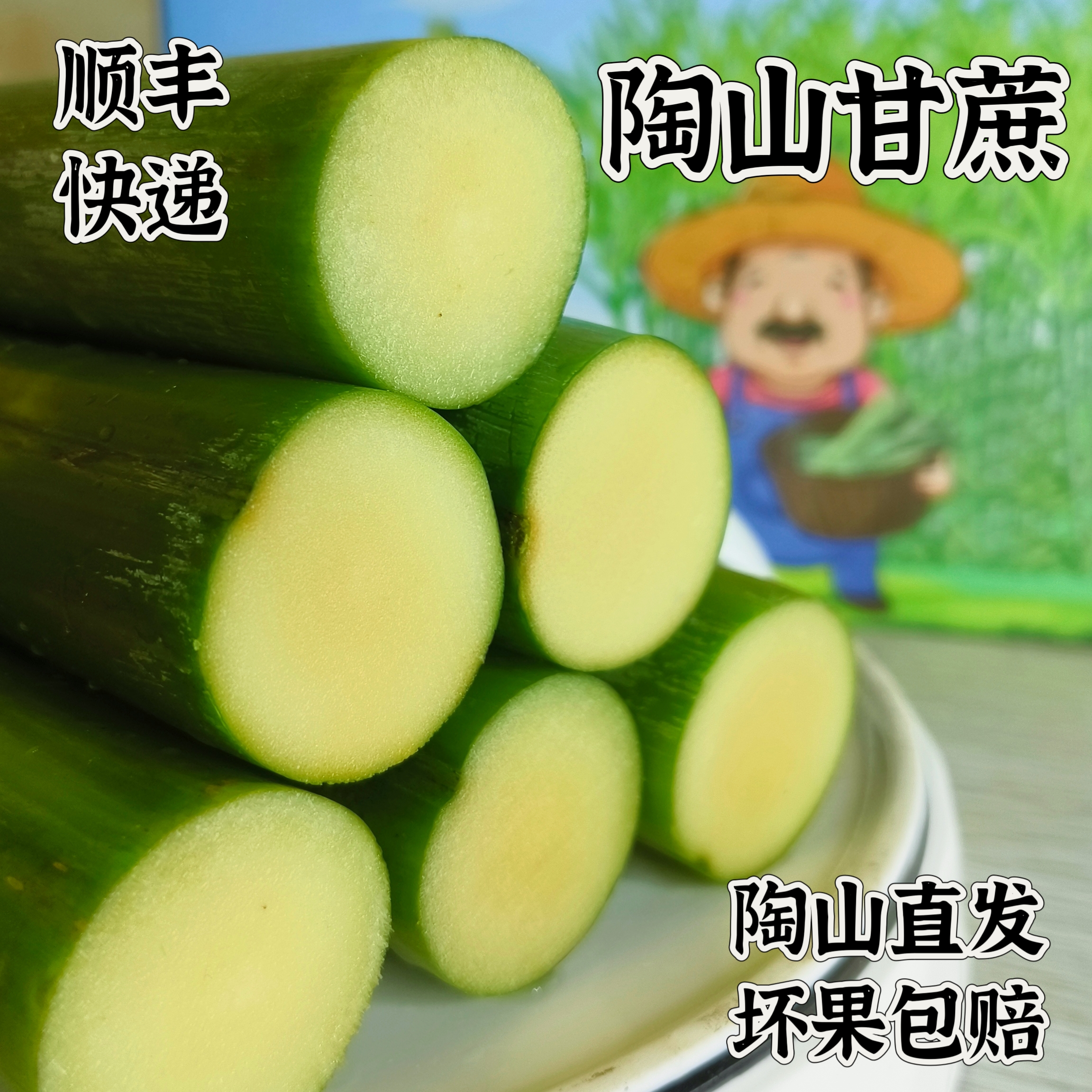 【3斤5斤】正宗陶山青皮甘蔗应季当季水果温州特产整箱新鲜甘蔗