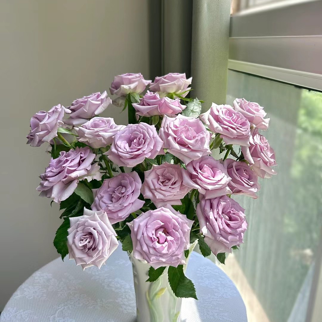 海洋之歌 包配送不带花瓶