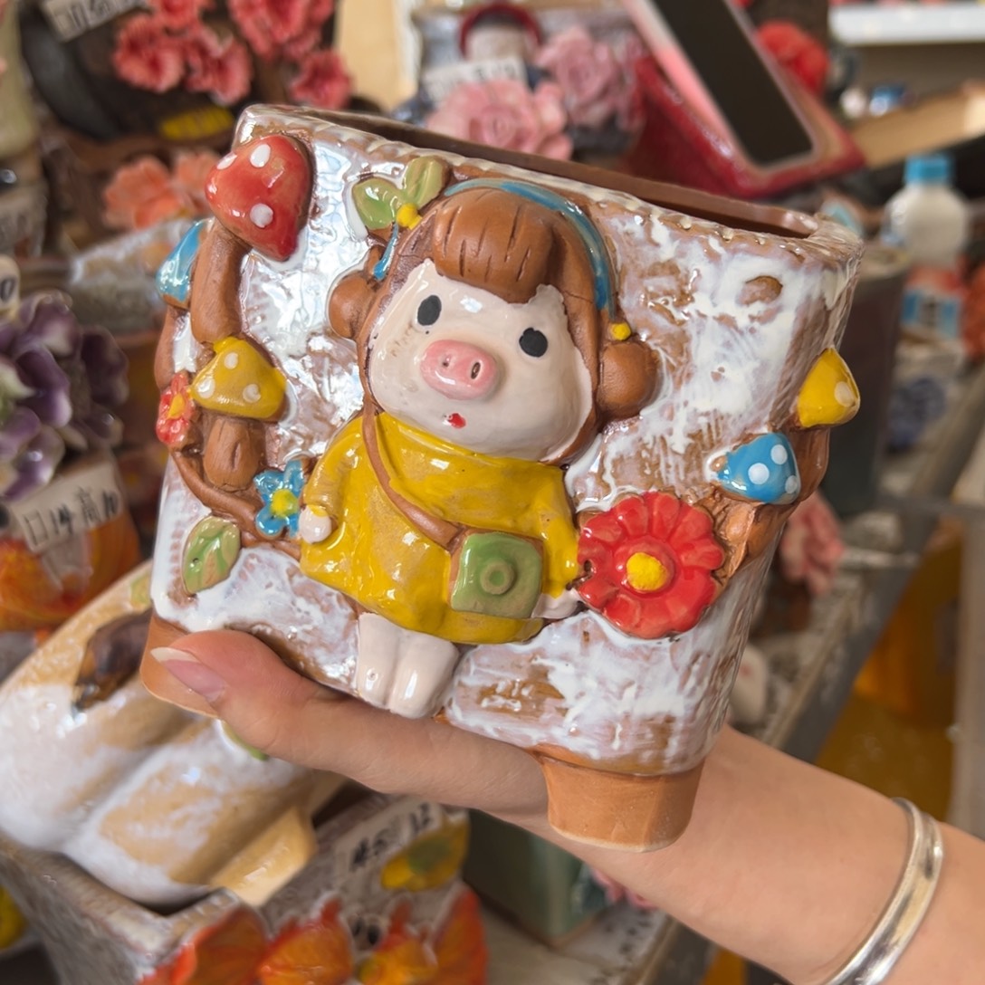 花盆，拍满20发货，退款拉黑