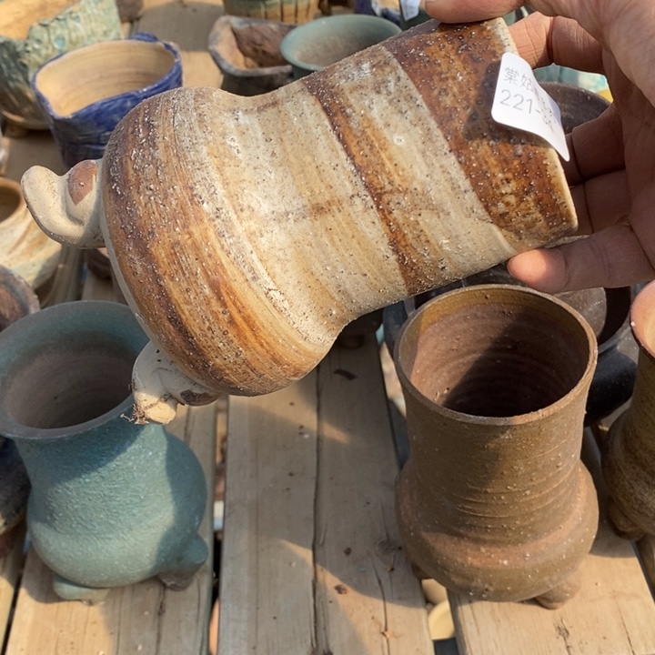 红陶柠**酸34号多肉盆一个呀