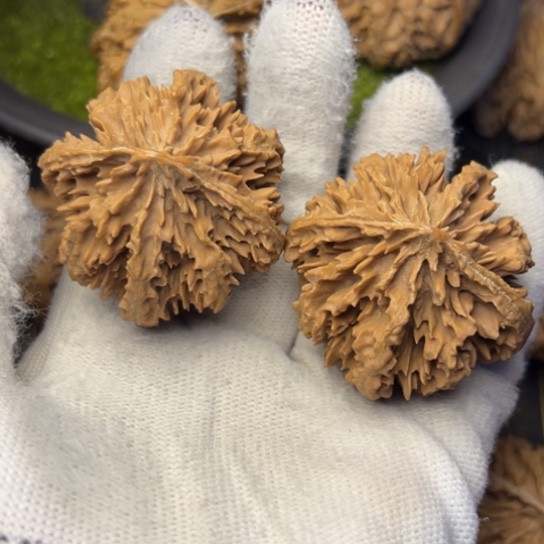 大***购文玩核桃把件秦岭核桃15