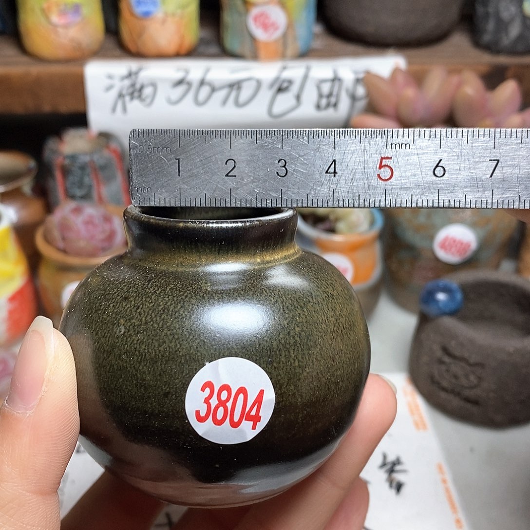 红陶拍5送一个小