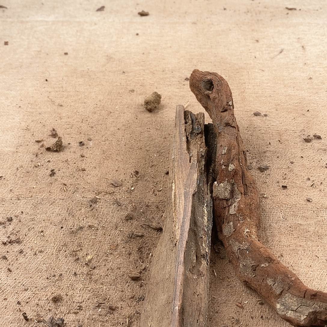 木优*黄花梨随形料子