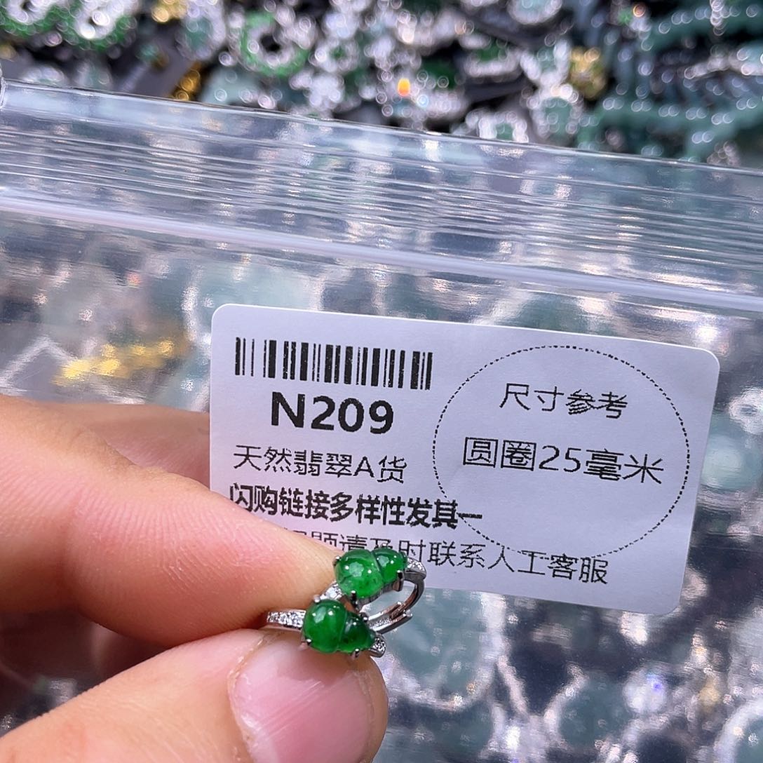 翡翠颈饰未镶嵌N2090000