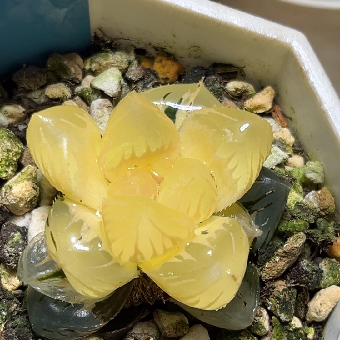 恭喜发财大吉大利0383