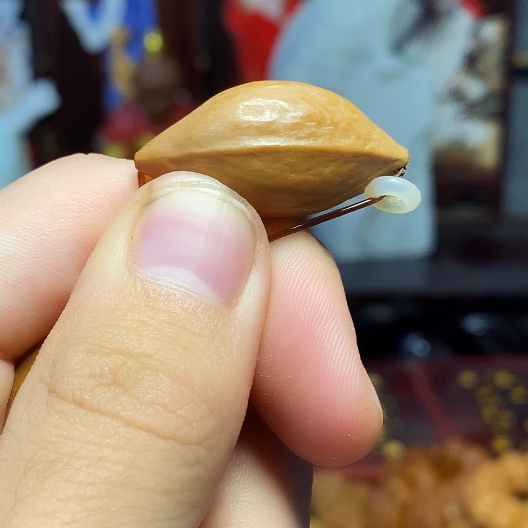 手串/手链橄榄核hhhjjjjjhhhbbbn