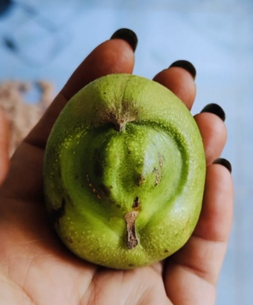 文玩核桃异形单只（看好再拍，单拍随机发货）