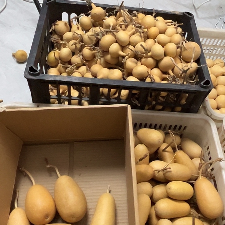 鸡蛋25个独霸100个