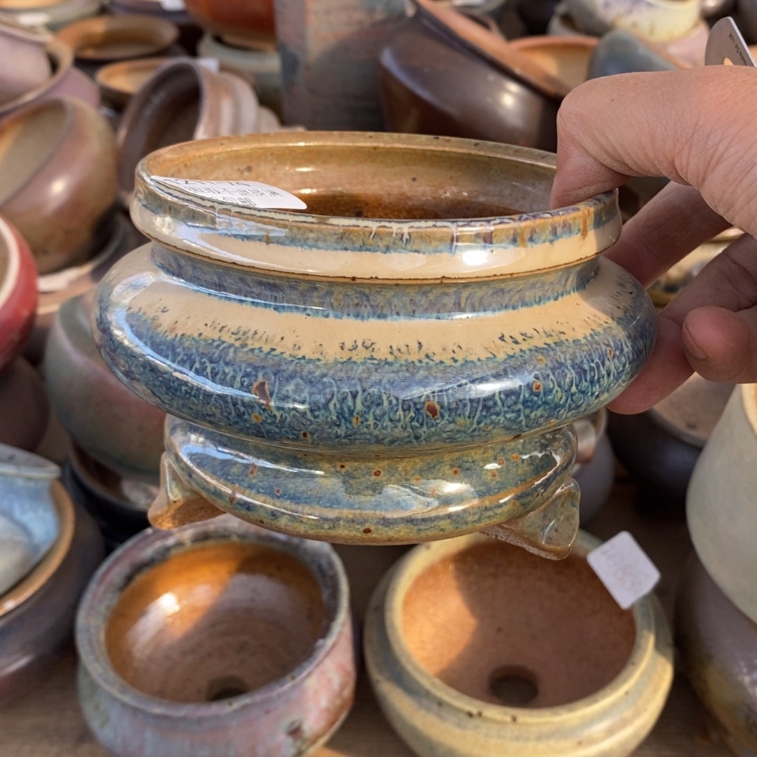 M***y74号多肉盆口径10