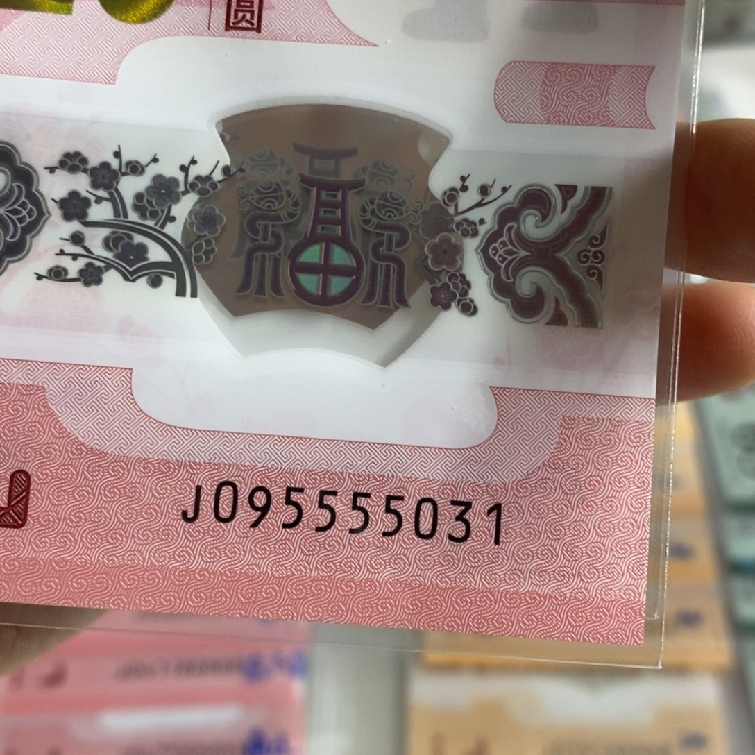 塑料95555031...............