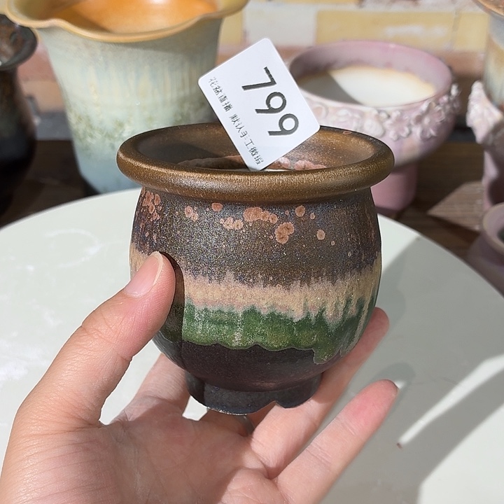 花盆花盆花盆花盆