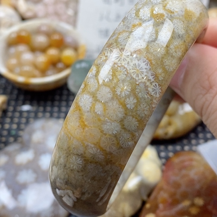 硅化珊瑚（珊瑚玉）颈饰未镶嵌59