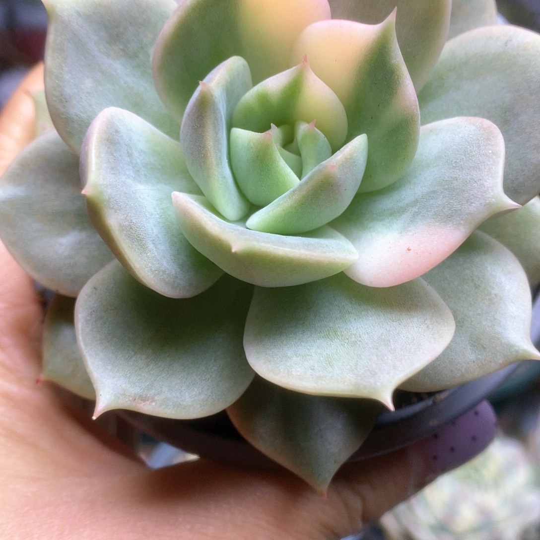 D026哈哈哈哈哈哈哈哈哈哈哈